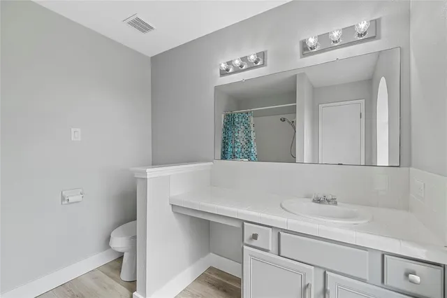 a bathroom with a sink a toilet and a mirror