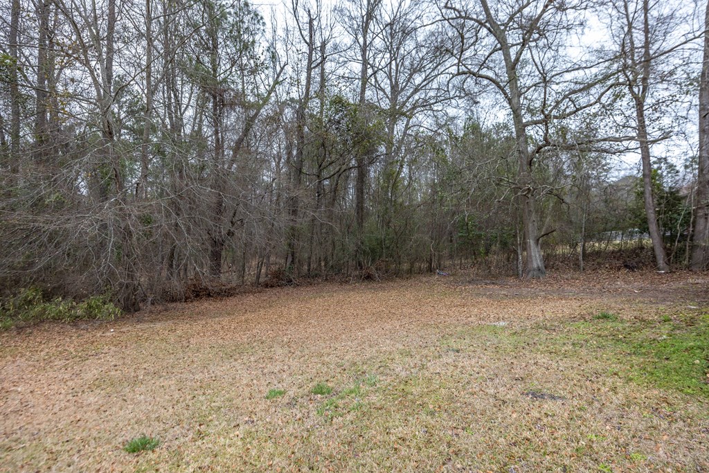 6703 Aldora Drive Columbus, GA 31907 - Photo 23 of 25 a view of a yard with trees