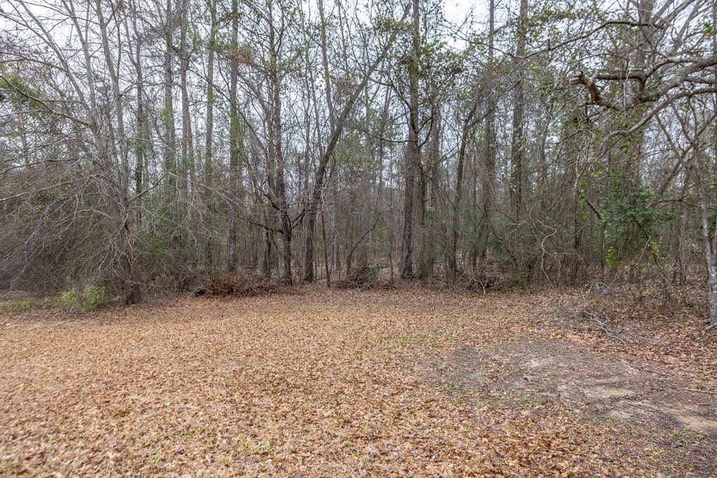6703 Aldora Drive Columbus, GA 31907 - Photo 25 of 25 a view of a yard with trees