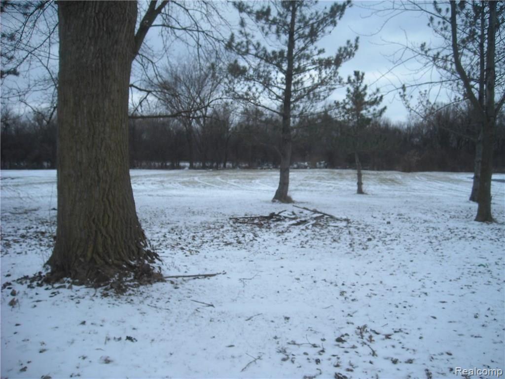 29802 Fort Road Rockwood, MI 48173 - Photo 19 of 20 DSCN7291.JPG