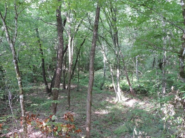 22.26-acres North Little River Road Salem, SC 29676 - Photo 11 of 19 Gallery Image 11
