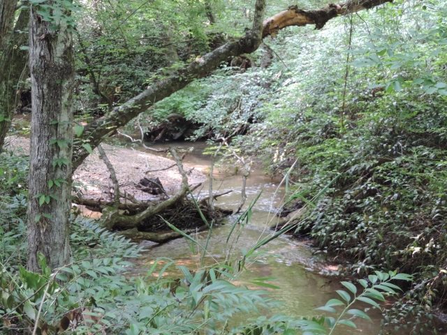 22.26-acres North Little River Road Salem, SC 29676 - Photo 4 of 19 Gallery Image 4
