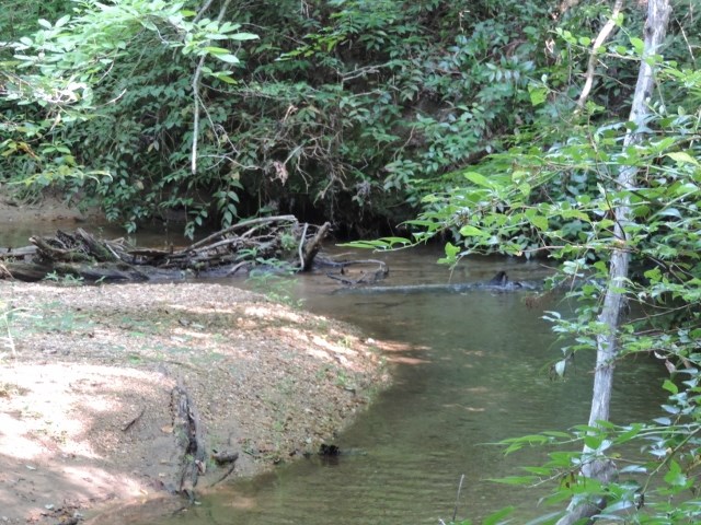 22.26-acres North Little River Road Salem, SC 29676 - Photo 5 of 19 Gallery Image 5