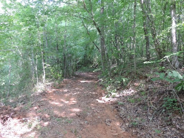 22.26-acres North Little River Road Salem, SC 29676 - Photo 10 of 19 Gallery Image 10