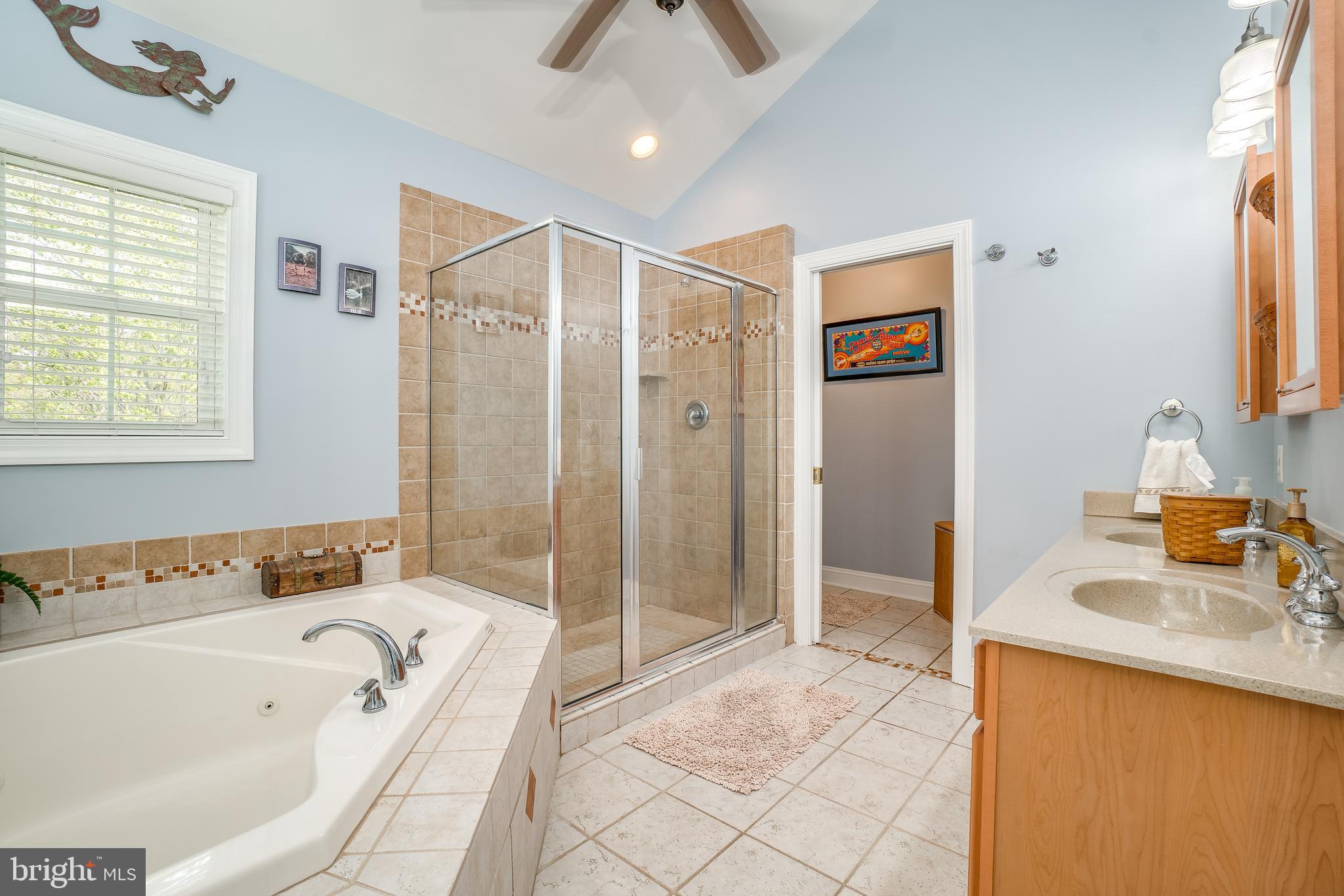 3611 Red Rose Farm Road Baltimore, MD 21220 - Photo 21 of 37 En-suite with vaulted ceiling