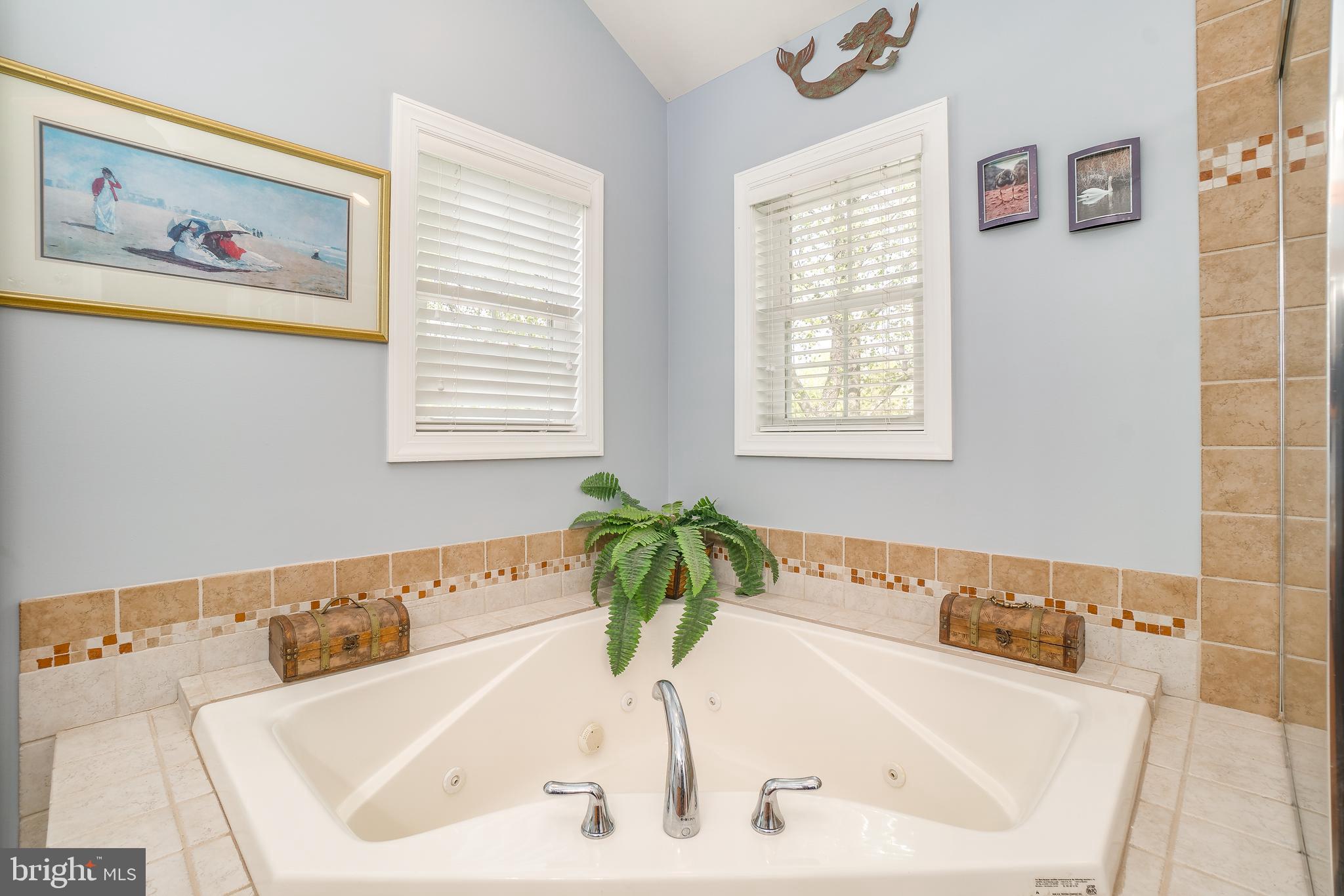 3611 Red Rose Farm Road Baltimore, MD 21220 - Photo 23 of 37 en-suite bath tub