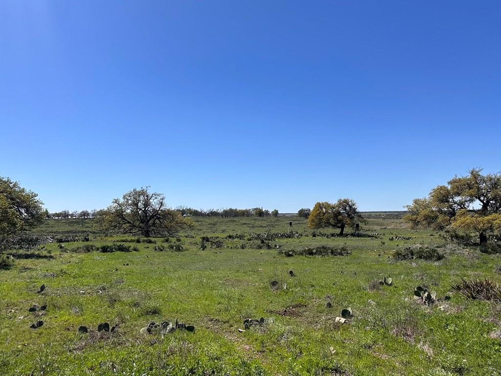 a view of a field of grass and trees