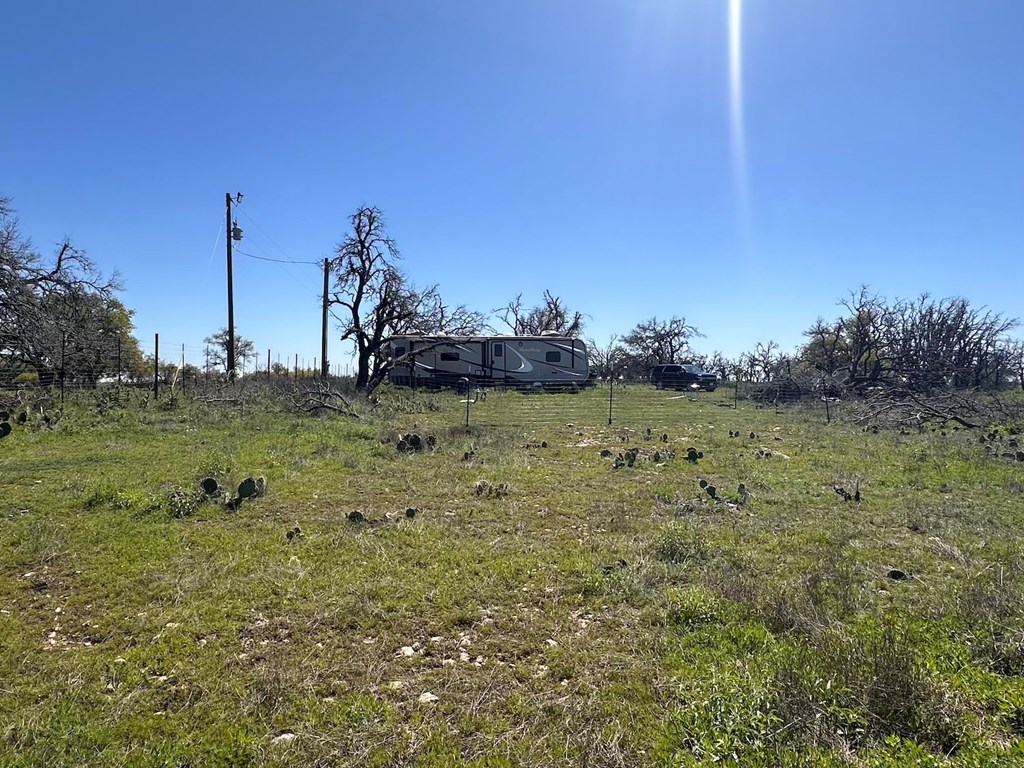 2112 Turkey Ridge Lane Harper, TX 78631 - Photo 7 of 11 a view of a garden with a tree