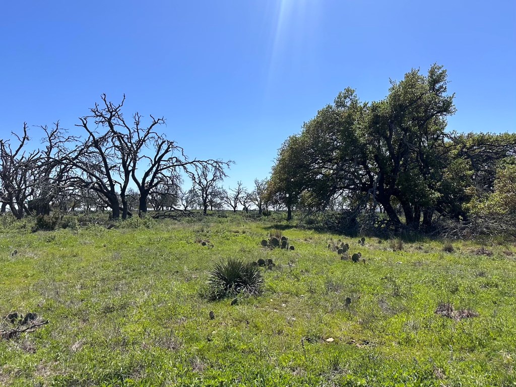 2112 Turkey Ridge Lane Harper, TX 78631 - Photo 9 of 11 a view of a garden