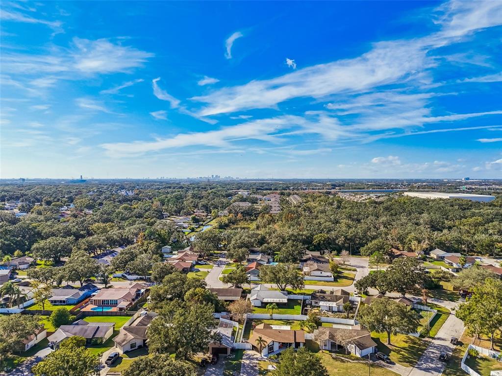 1729 Lakecrest Avenue Brandon, FL 33510 - Photo 49 of 51 a view of a city