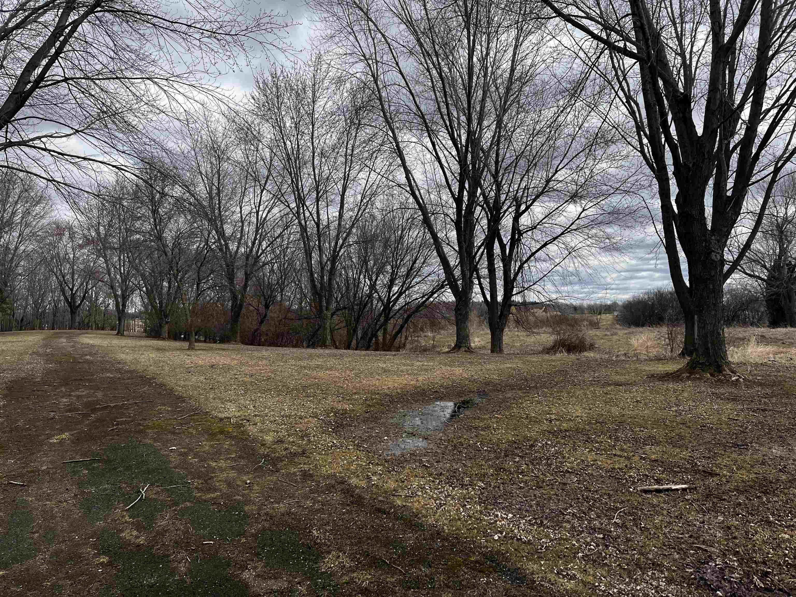 Lost Dauphin Road De Pere, WI 54115 - Photo 6 of 17