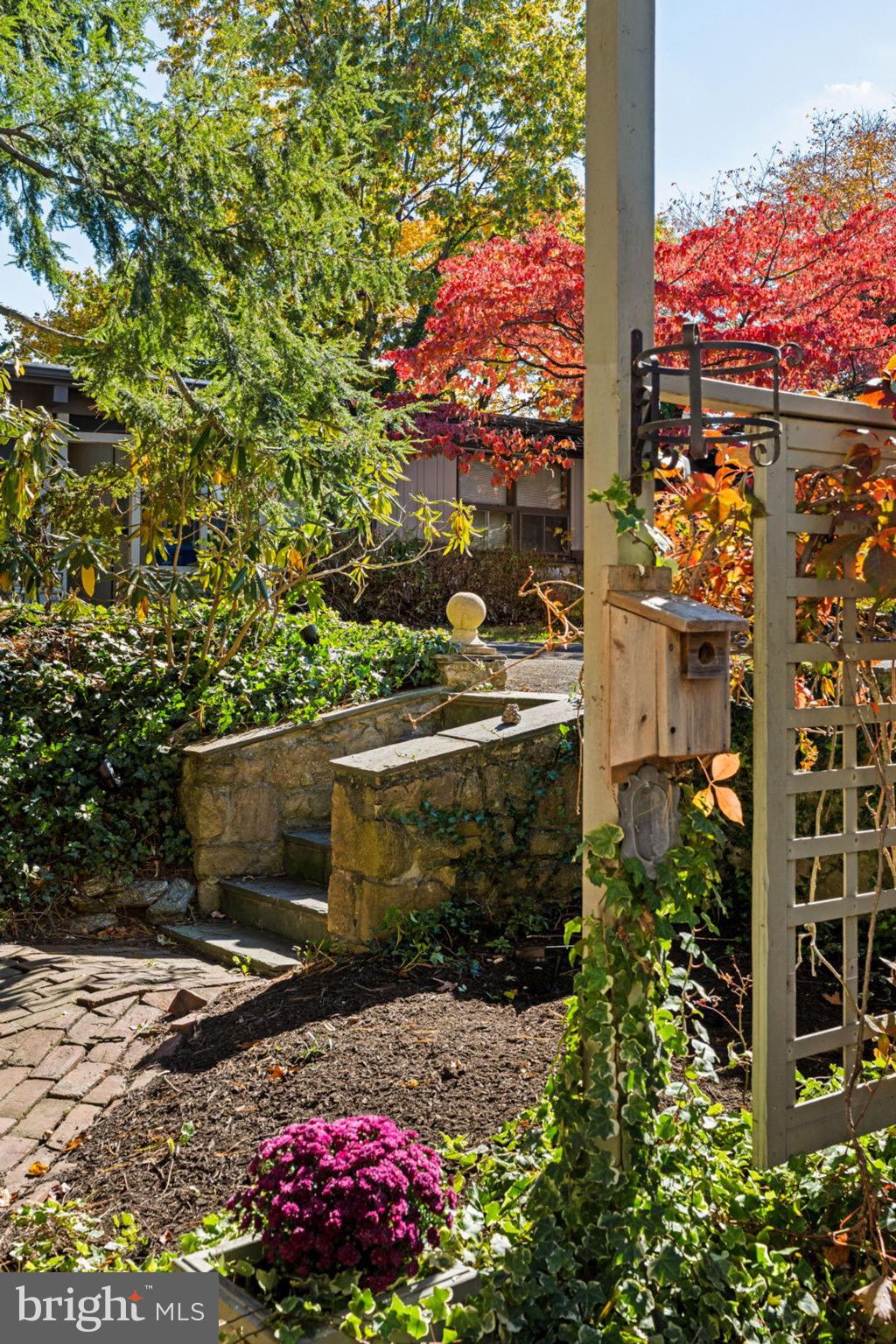 809 Church Road Wyncote, PA 19095 - Photo 15 of 20 Charming garden oasis in autumn hues.