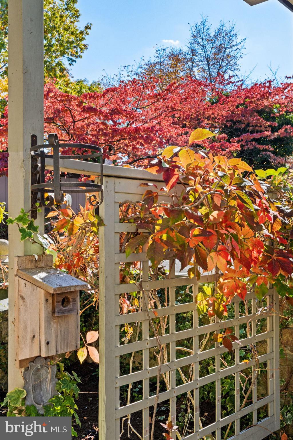 809 Church Road Wyncote, PA 19095 - Photo 16 of 20 Charming garden gate framed by autumn hues.