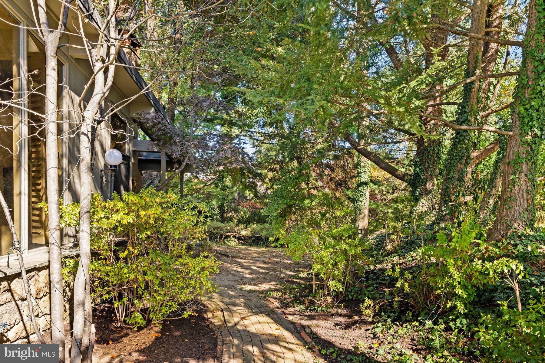 809 Church Road Wyncote, PA 19095 - Photo 17 of 20 Serene garden path through lush greenery.
