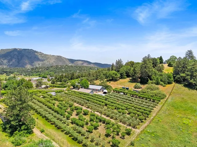$1,450,000 | 2645 Apple Lane, Julian, CA 92036