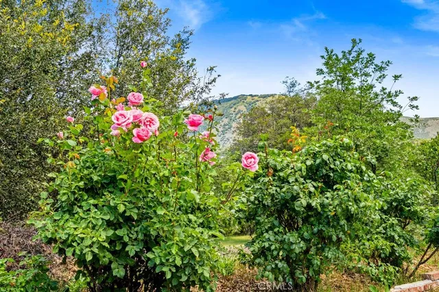 $1,450,000 | 2645 Apple Lane, Julian, CA 92036