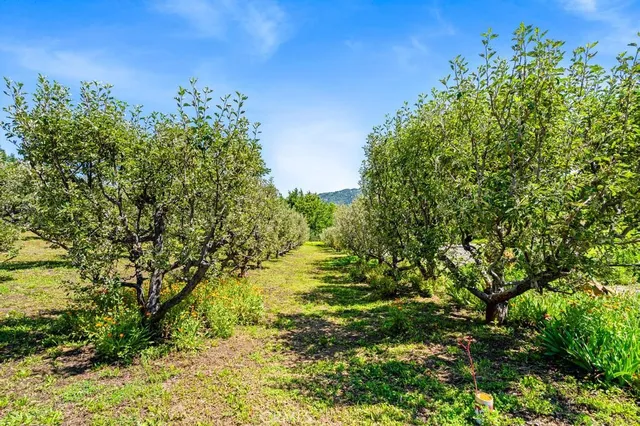 $1,450,000 | 2645 Apple Lane, Julian, CA 92036