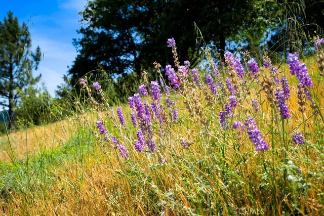 $1,450,000 | 2645 Apple Lane, Julian, CA 92036