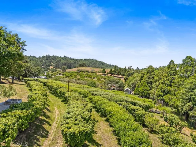 $1,450,000 | 2645 Apple Lane, Julian, CA 92036