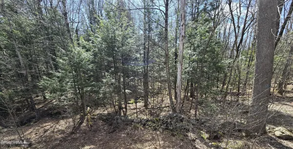 $75,000 | Jacobs Ladder Road, Becket, MA 01223