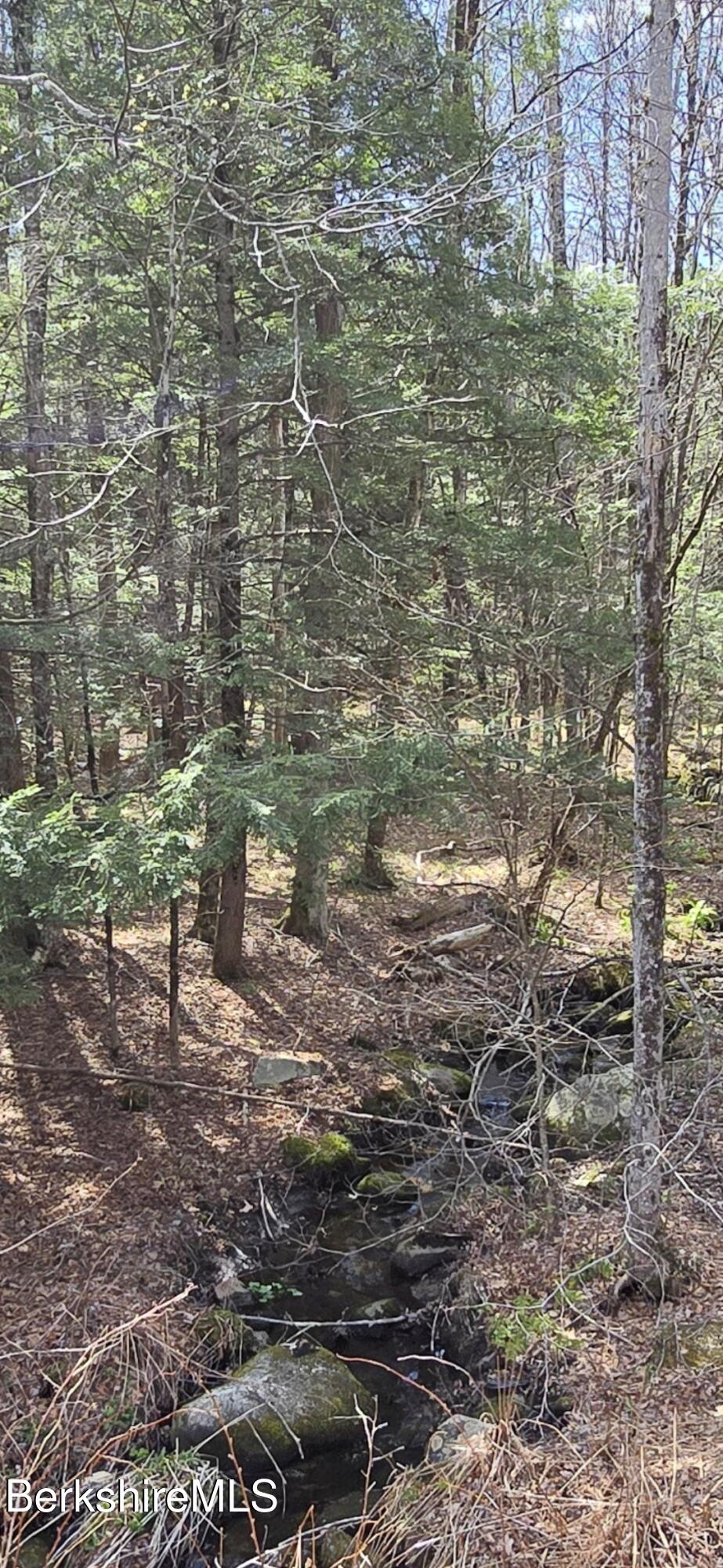 Jacobs Ladder Road Becket, MA 01223 - Photo 2 of 6 Becket Stream