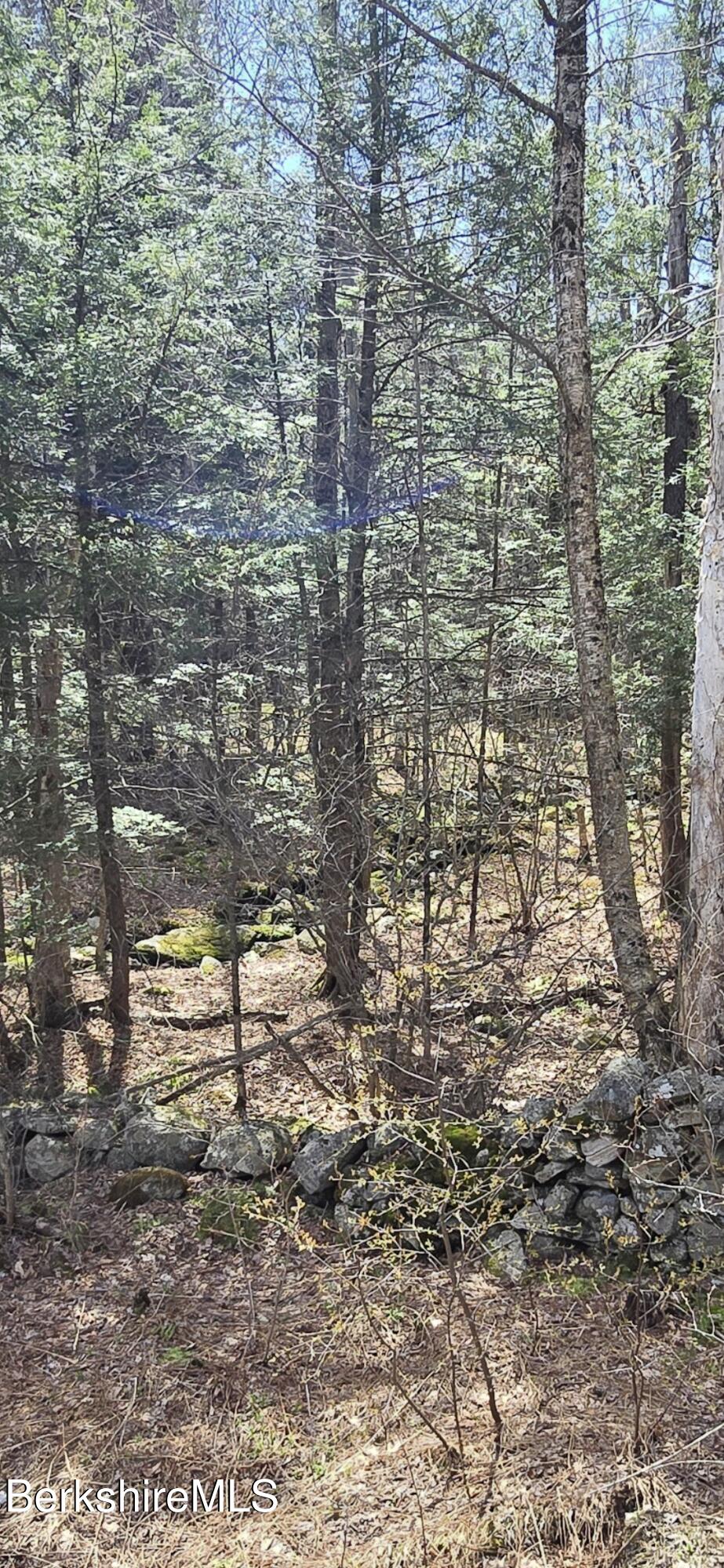 Jacobs Ladder Road Becket, MA 01223 - Photo 3 of 6 Becket Stonewalls