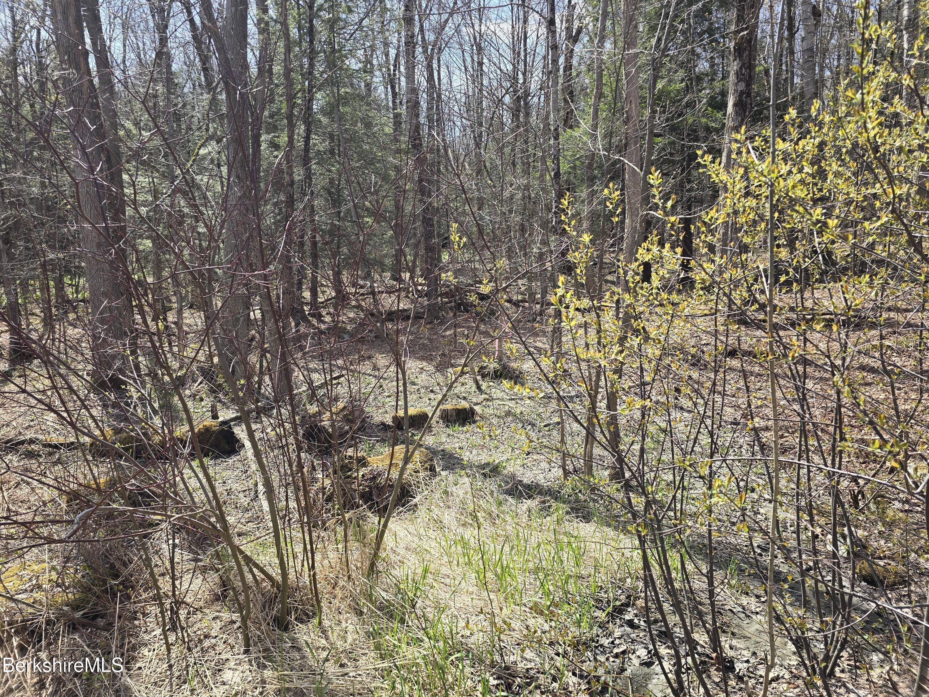 Jacobs Ladder Road Becket, MA 01223 - Photo 4 of 6 Becket open up to back
