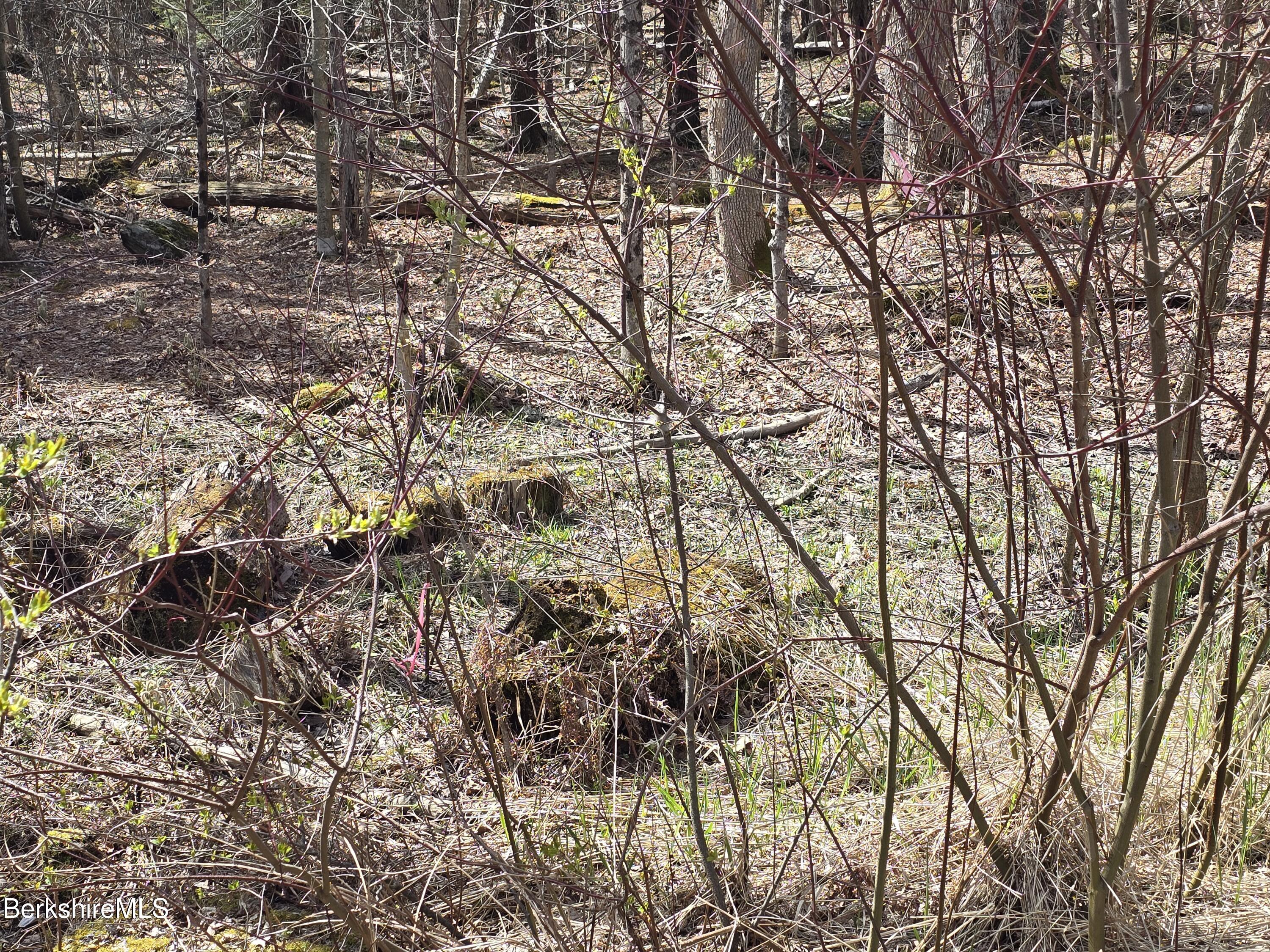 Jacobs Ladder Road Becket, MA 01223 - Photo 5 of 6 Becket Pin