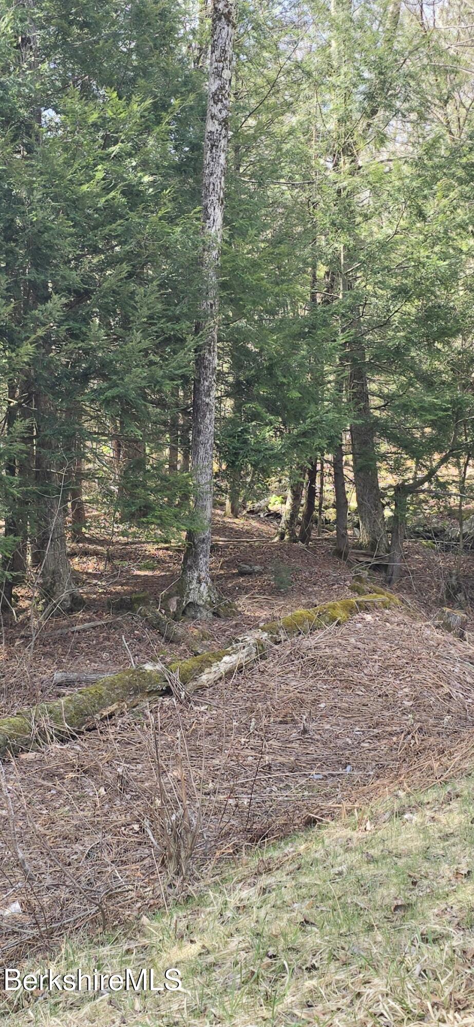 Jacobs Ladder Road Becket, MA 01223 - Photo 6 of 6 Becket