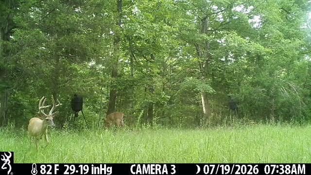 2195 Whiteoak Road East Linden, TN 37096 - Photo 51 of 56 Gallery Image 51