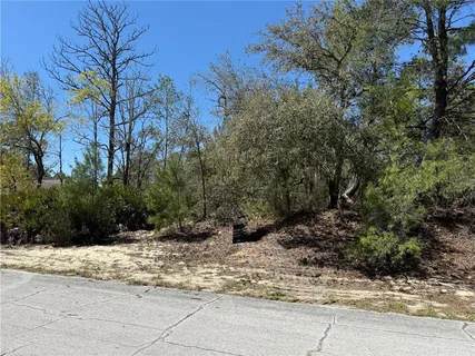 a view of a yard with trees