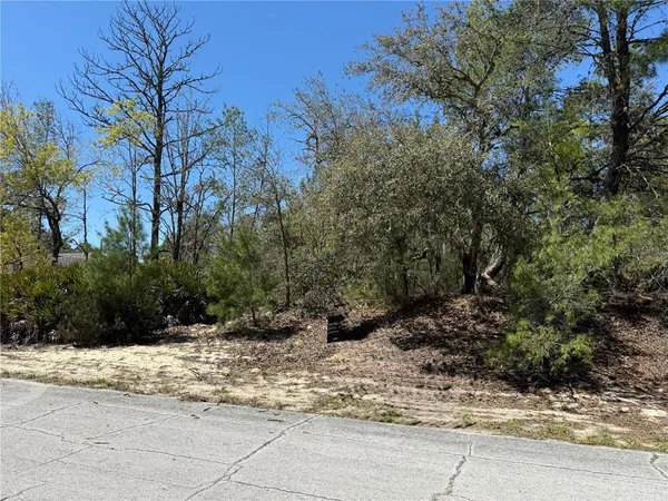 a view of a yard with trees