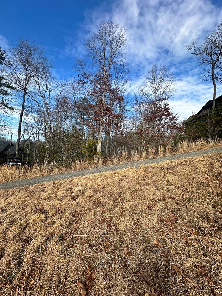 Lot 95 Fallen Leaf Road Mineral Bluff, GA 30559 - Photo 3 of 9 Gallery Image 3