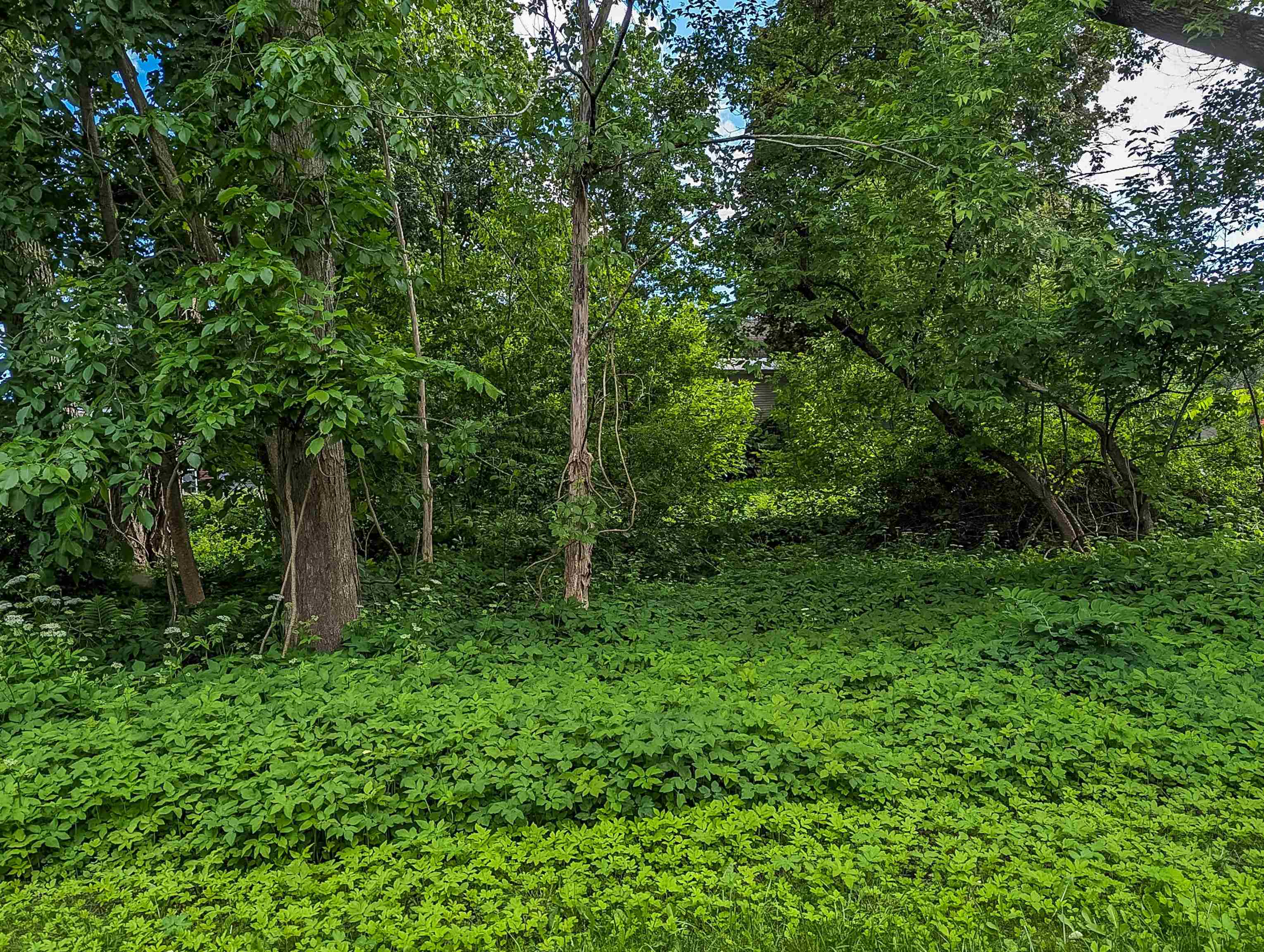 98 Carroll Street Keene, NH 03431 - Photo 20 of 22