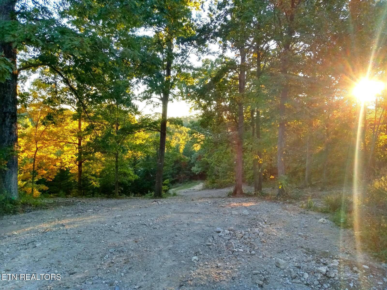 7171 Vonore Road Loudon, TN 37774 - Photo 3 of 4 7171 Vonore Rd Loudon TN 37774