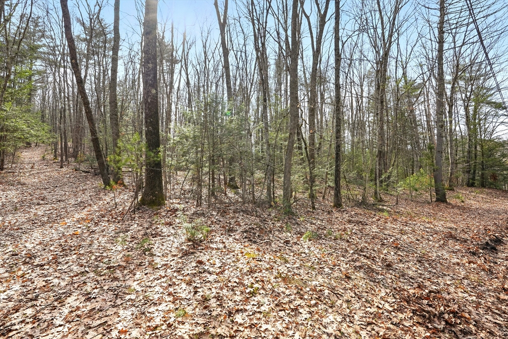 0 Atherton Road Gill, MA 01354 - Photo 5 of 14 Gallery Image 5