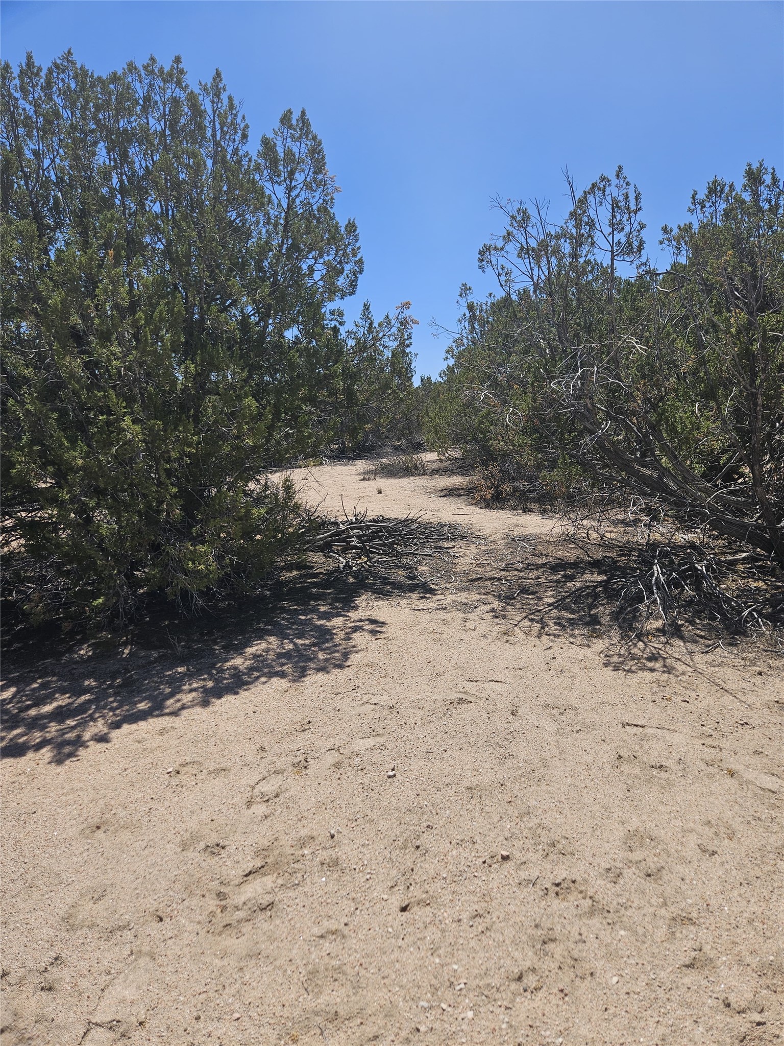 0 Unassigned Santa Fe, NM 87506 - Photo 4 of 12