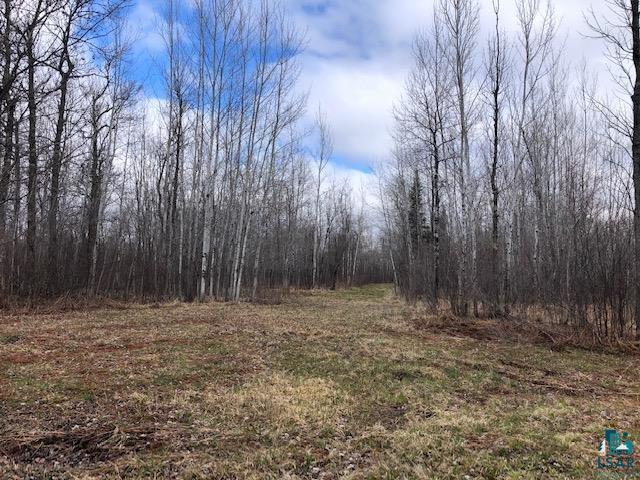 Xxx Comstock Lake Road Cotton, MN 55724 - Photo 5 of 13 Gallery Image 5