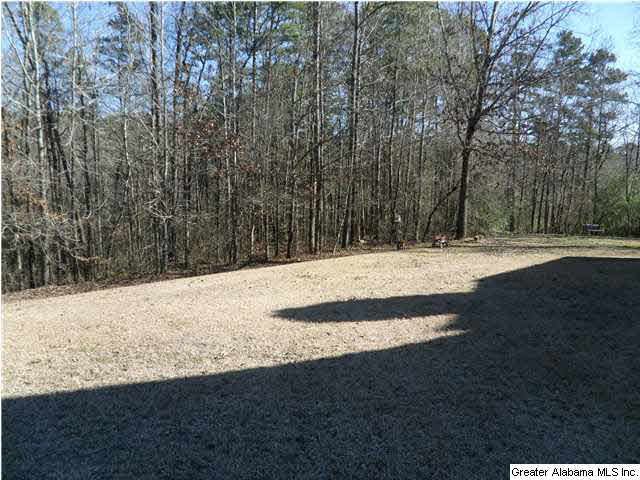 7279 Briarcliff Road Dora, AL 35062 - Photo 31 of 32