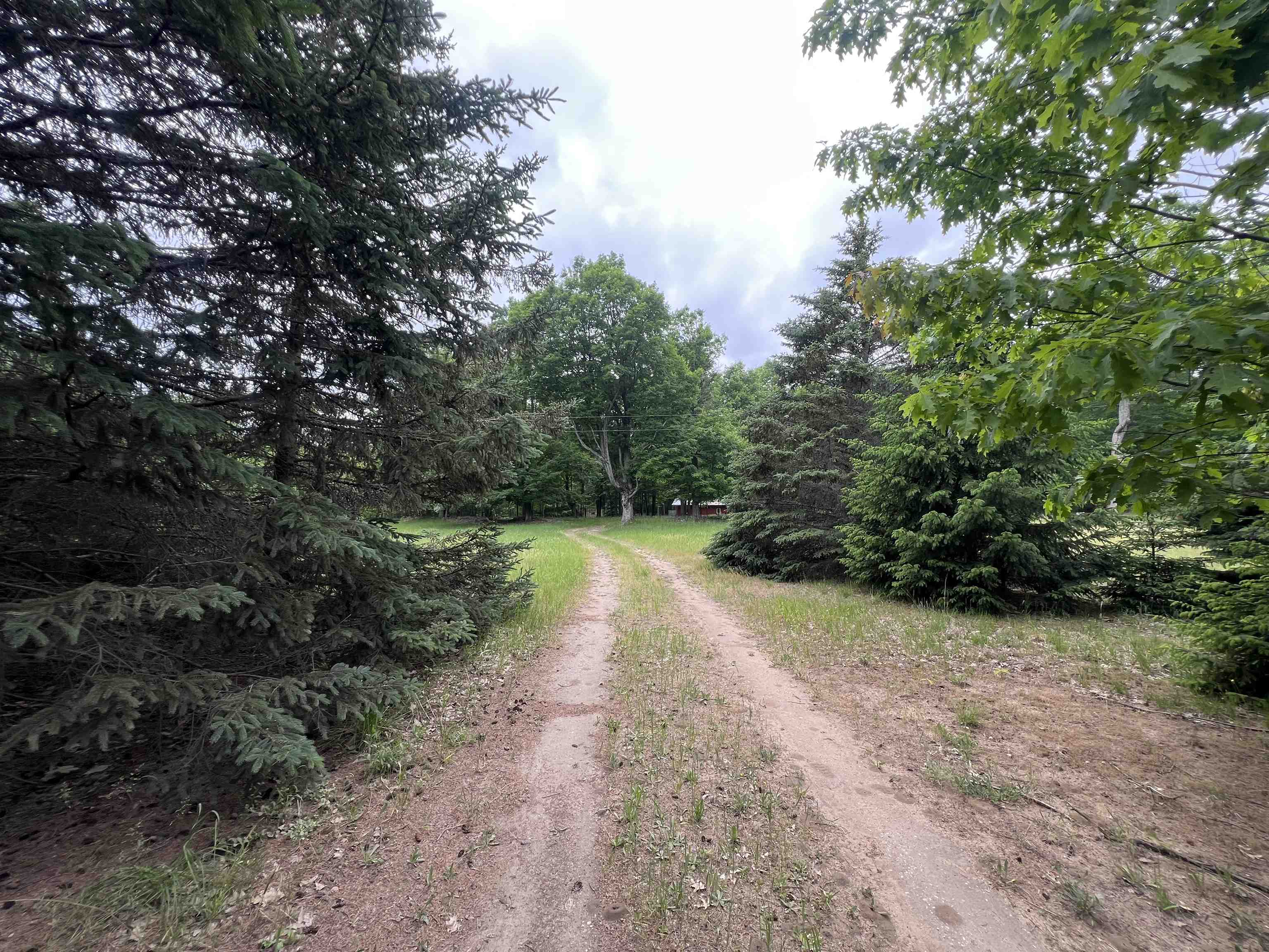 4169 North 25 Road Mesick, MI 49668 - Photo 9 of 10