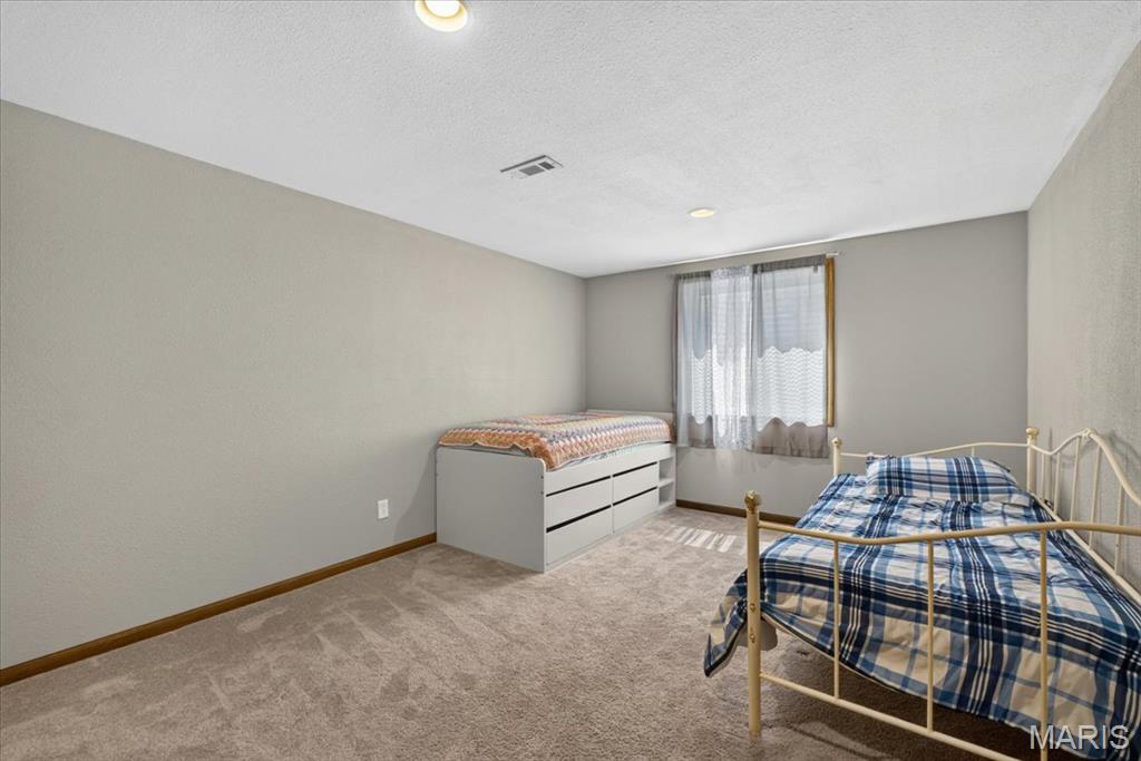 813 E Haven Waterloo, IL 62298 - Photo 39 of 55