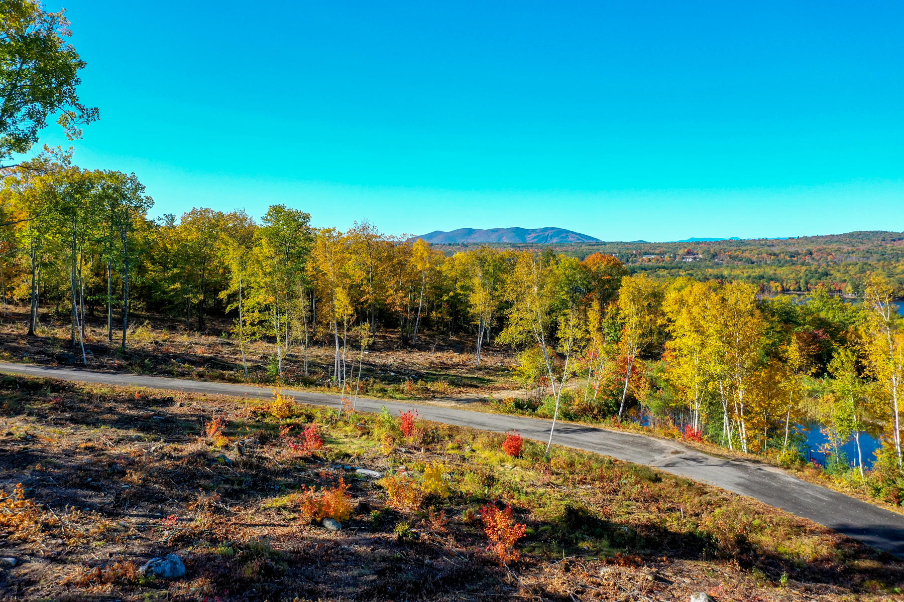 Lot 4 Birch Circle Harrison, ME 04040 - Photo 1 of 24 Pic#-16