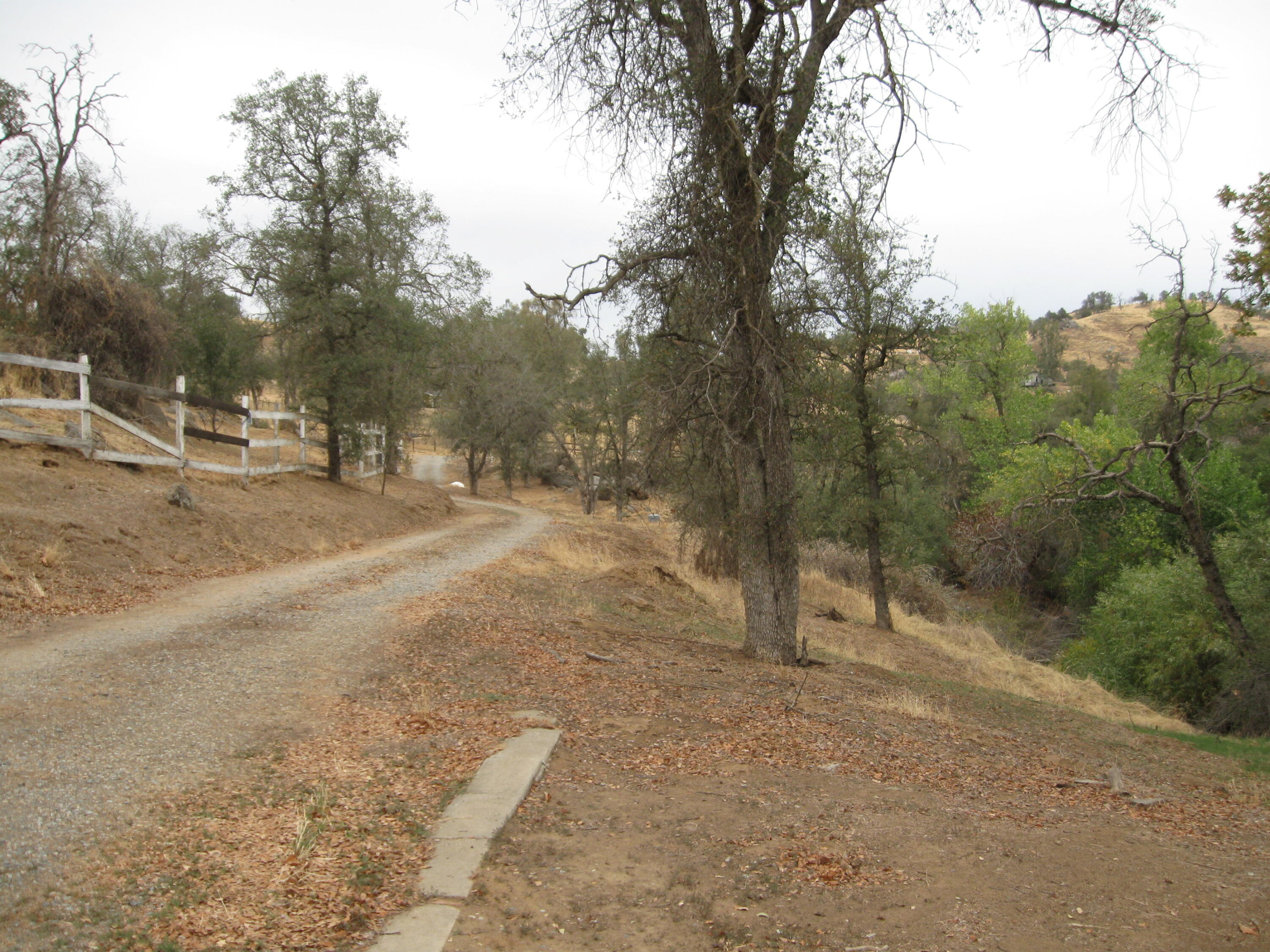 35548 Hummingbird Lane Squaw Valley, CA 93675 - Photo 20 of 33 IMG_4845