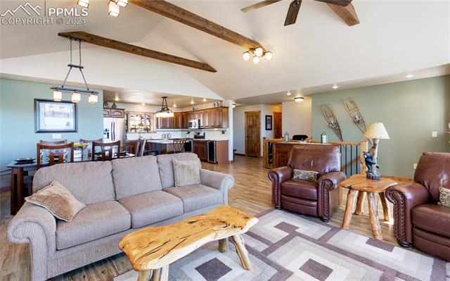 527 Paradiso Road Divide, CO 80814 - Photo 7 of 36 Living