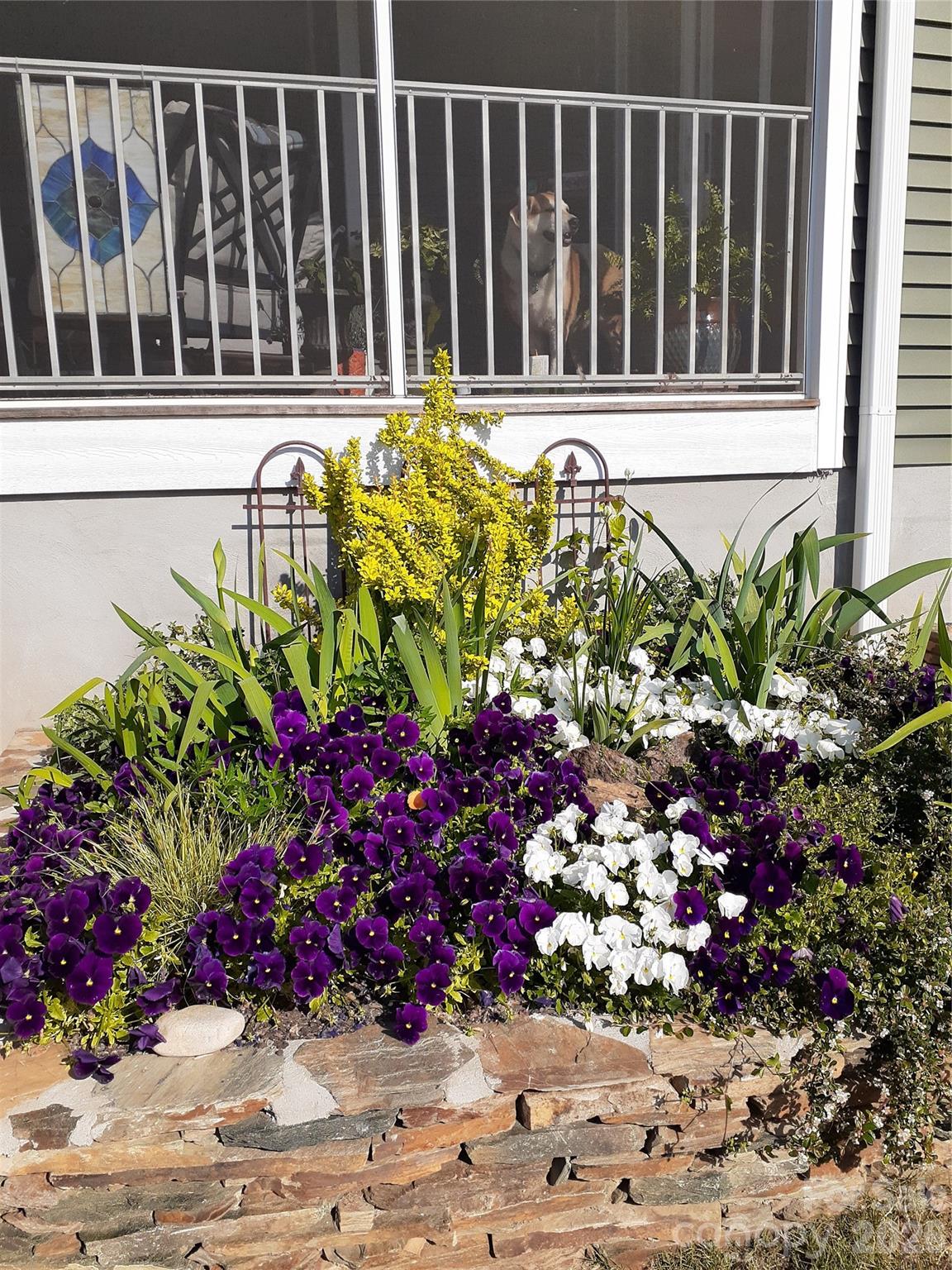 614 Downing Way Landrum, SC 29356 - Photo 35 of 46 a view of a house with a flower garden