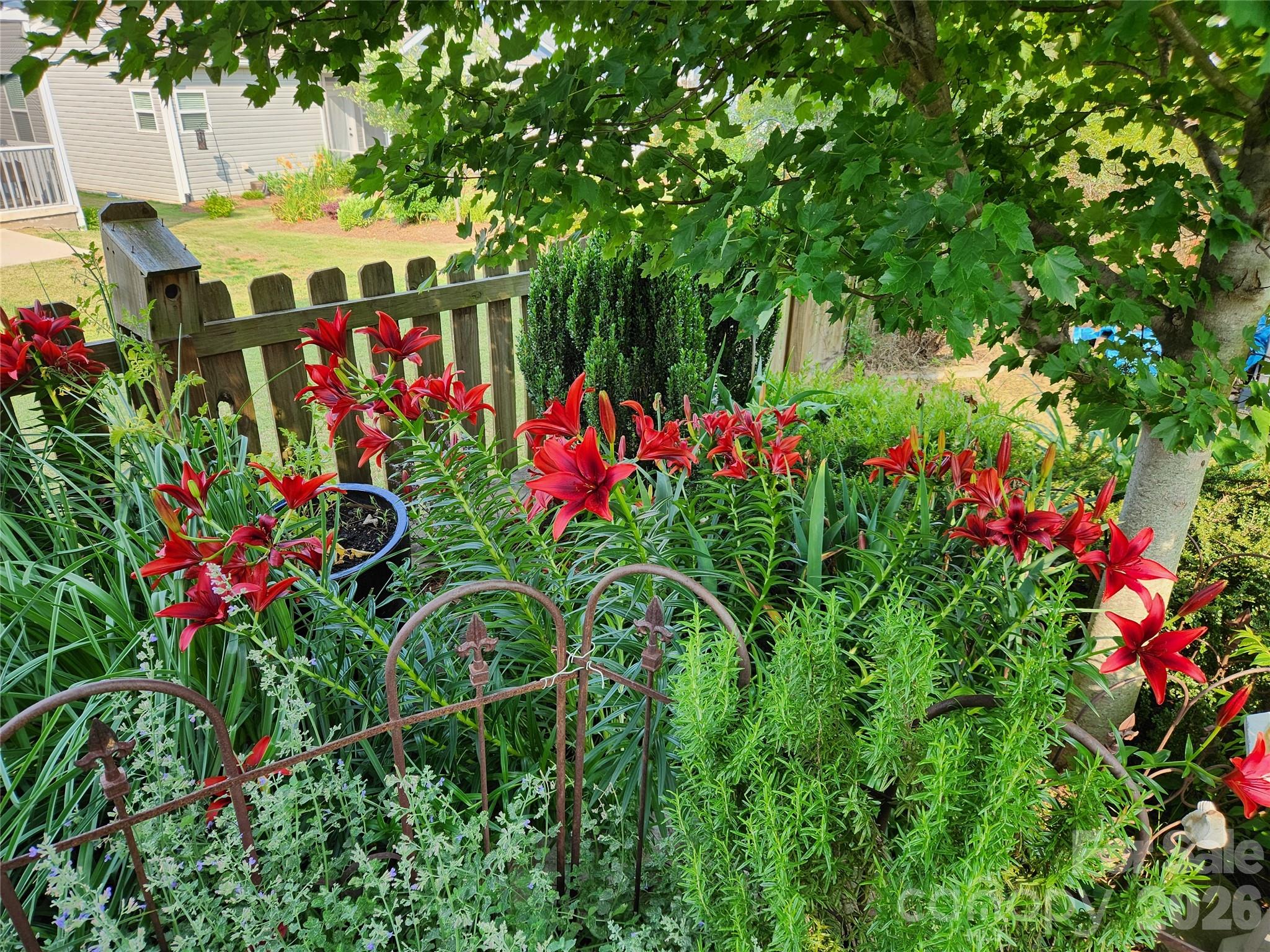 614 Downing Way Landrum, SC 29356 - Photo 38 of 46 a view of a bunch of flowers