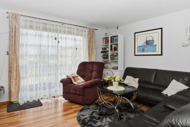 a living room with furniture and a potted plant