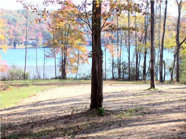 1 Piney Point Road Spring City, TN 37381 - Photo 3 of 3 Additional Photo