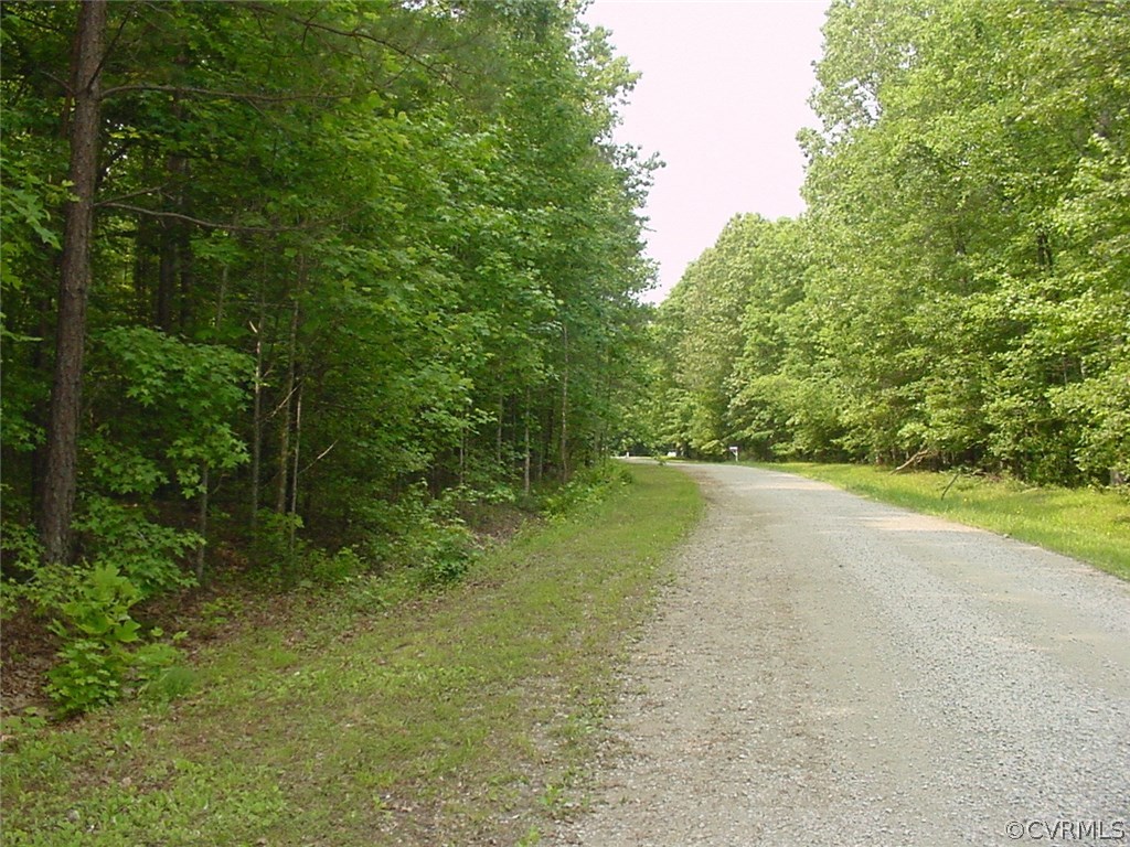 1020 Turkey Ridge Drive Moseley, VA 23120 - Photo 3 of 7 Gallery Image 3