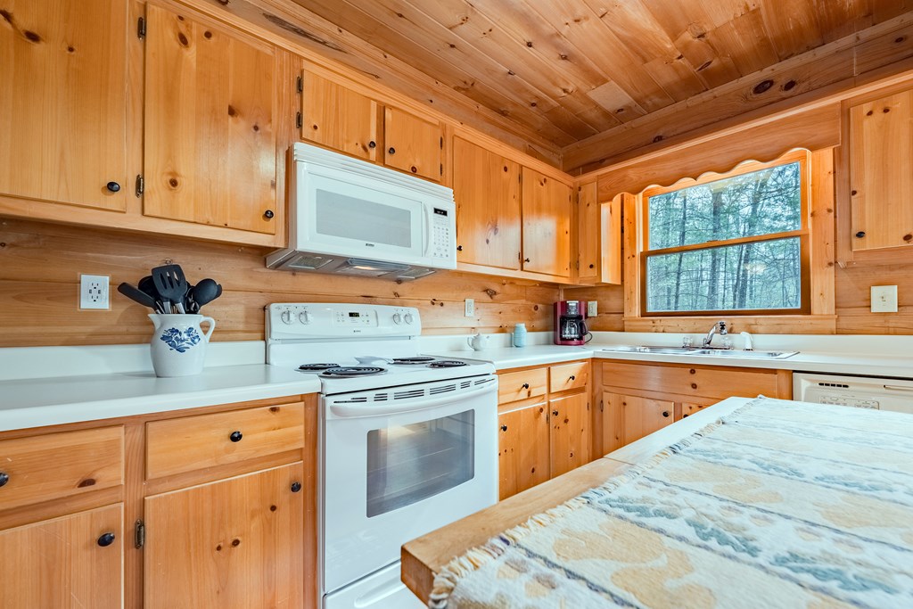 1165 Little Bushy Head Road Blue Ridge, GA 30513 - Photo 12 of 29